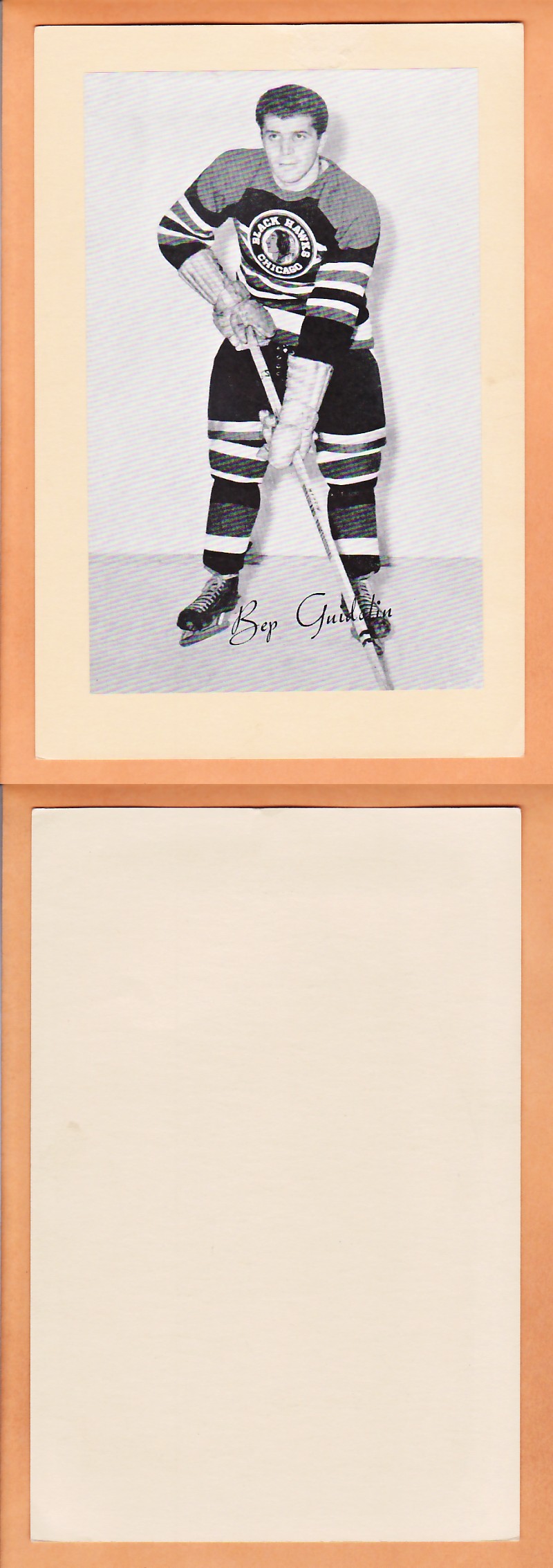 1945-64 BEEHIVE PHOTO GR.2 B.GUIDOLIN photo 1945-64 BEEHIVE PHOTO GR.2 B.GUIDOLIN photo