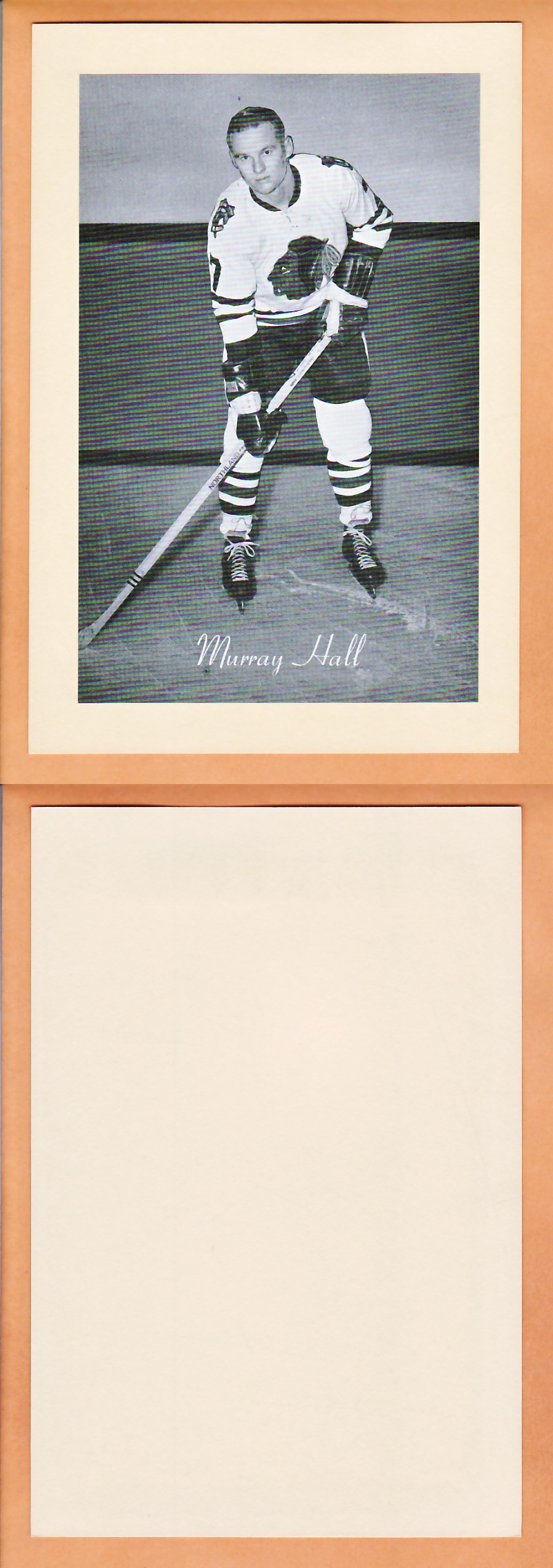 1945-64 BEEHIVE PHOTO GR.2 M.HALL photo 1945-64 BEEHIVE PHOTO GR.2 M.HALL photo