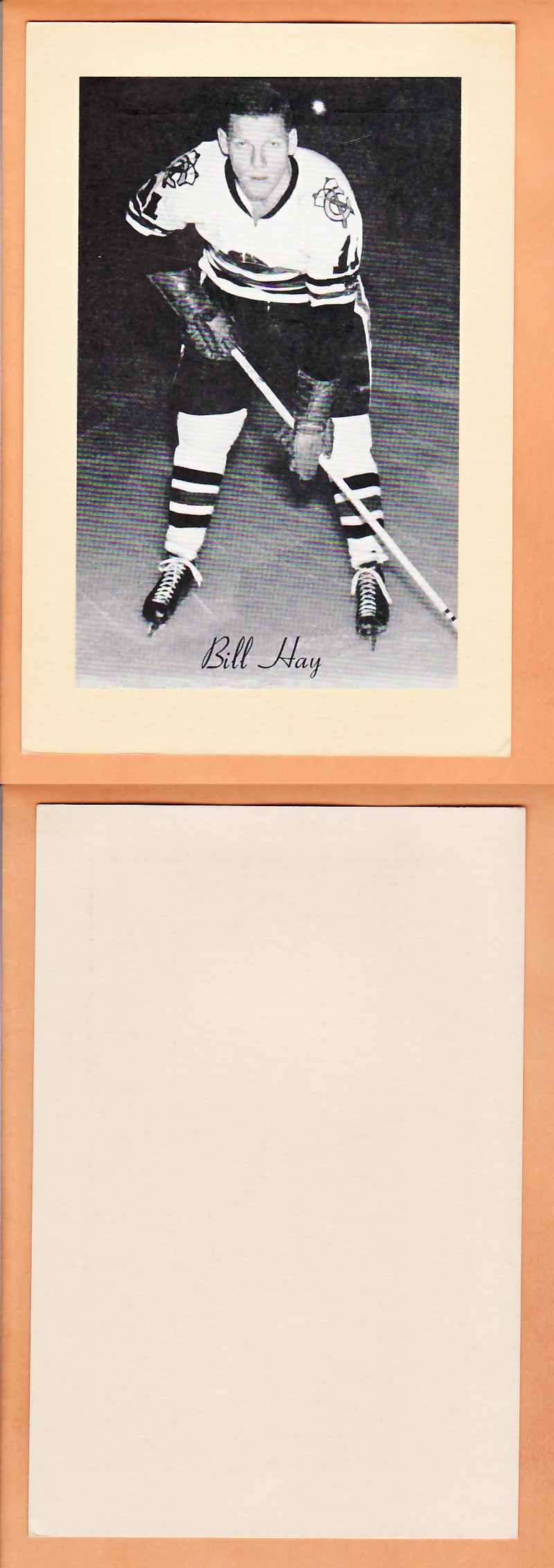 1945-64 BEEHIVE PHOTO GR.2 B.HAY photo 1945-64 BEEHIVE PHOTO GR.2 B.HAY photo