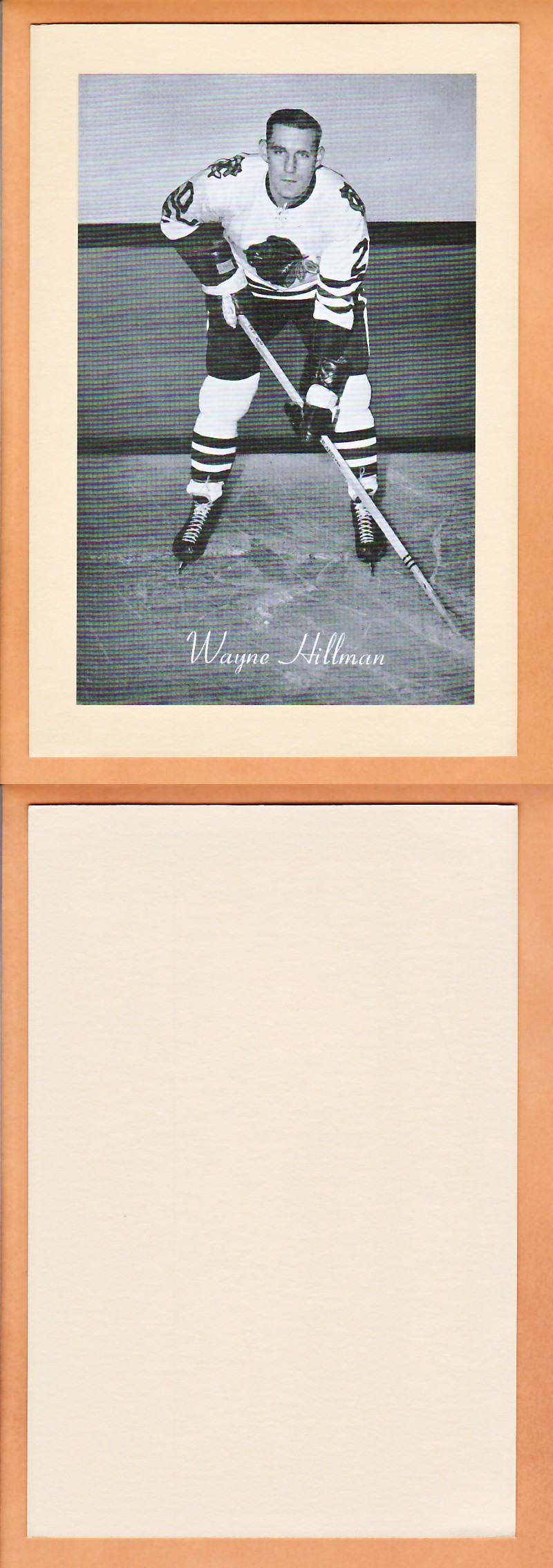 1945-64 BEEHIVE PHOTO GR.2 W.HILLMAN photo 1945-64 BEEHIVE PHOTO GR.2 W.HILLMAN photo