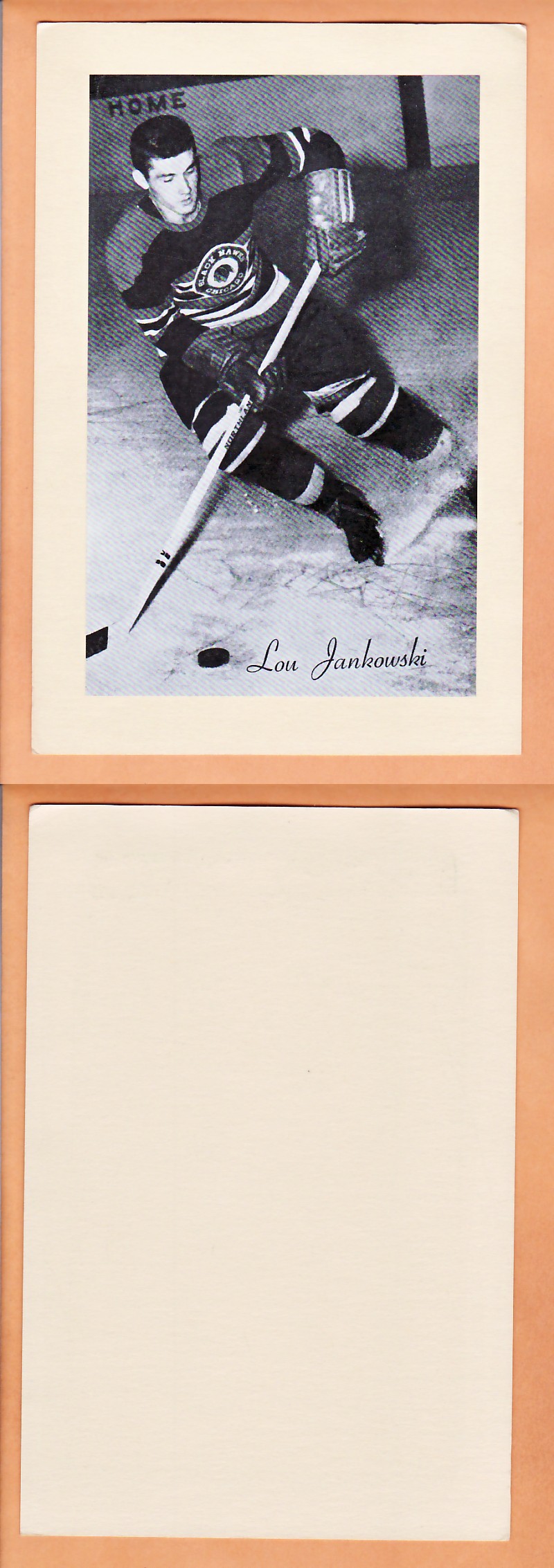 1945-64 BEEHIVE PHOTO GR.2 L.JANKOWSKI photo 1945-64 BEEHIVE PHOTO GR.2 L.JANKOWSKI photo
