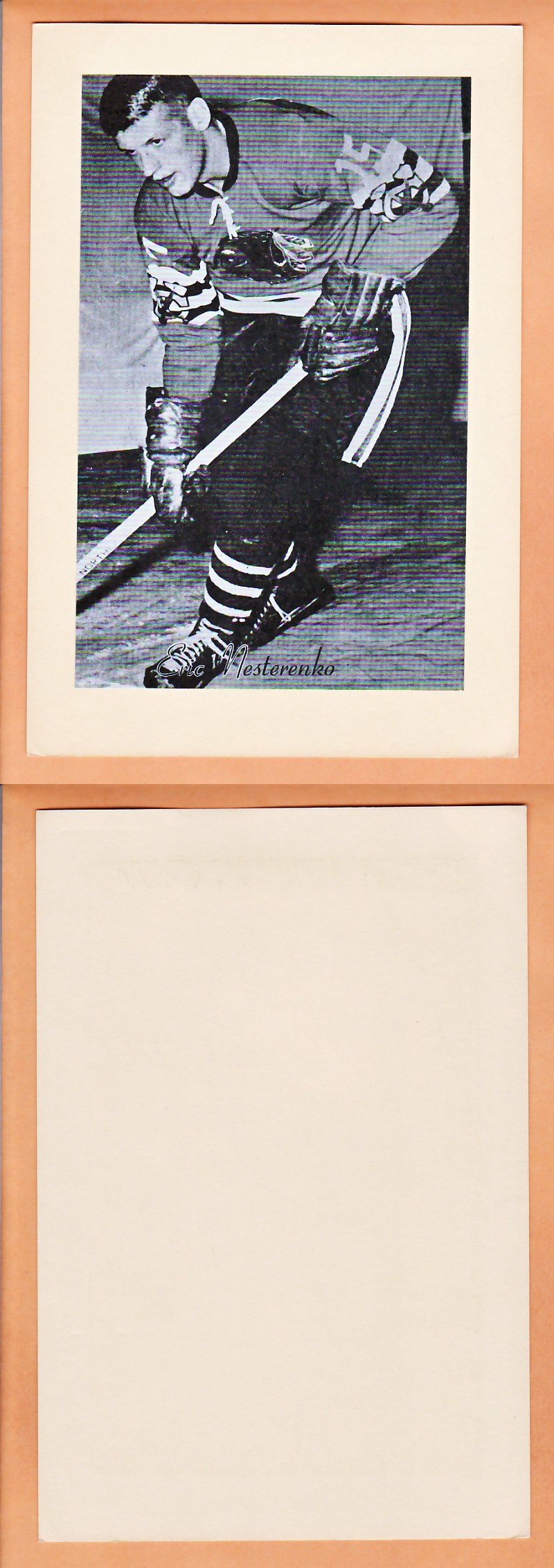 1945-64 BEEHIVE PHOTO GR.2 E.NESTERENKO photo 1945-64 BEEHIVE PHOTO GR.2 E.NESTERENKO photo