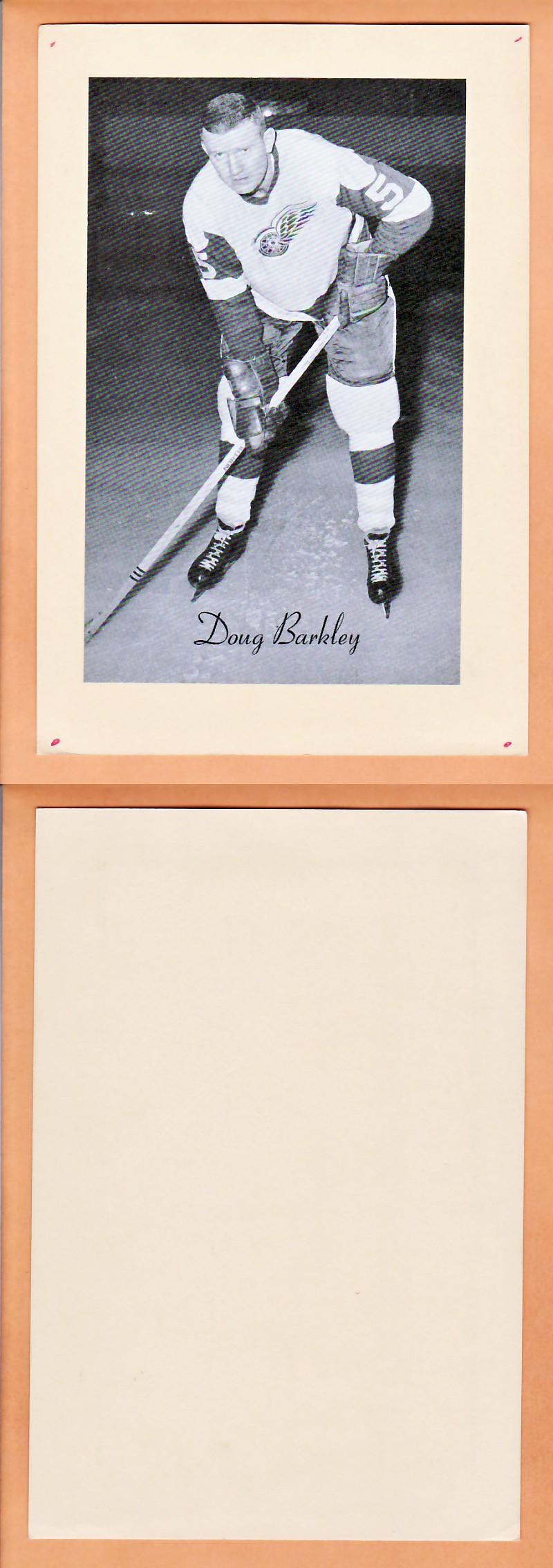 1945-64 BEEHIVE PHOTO GR.2 D.BARKLEY photo