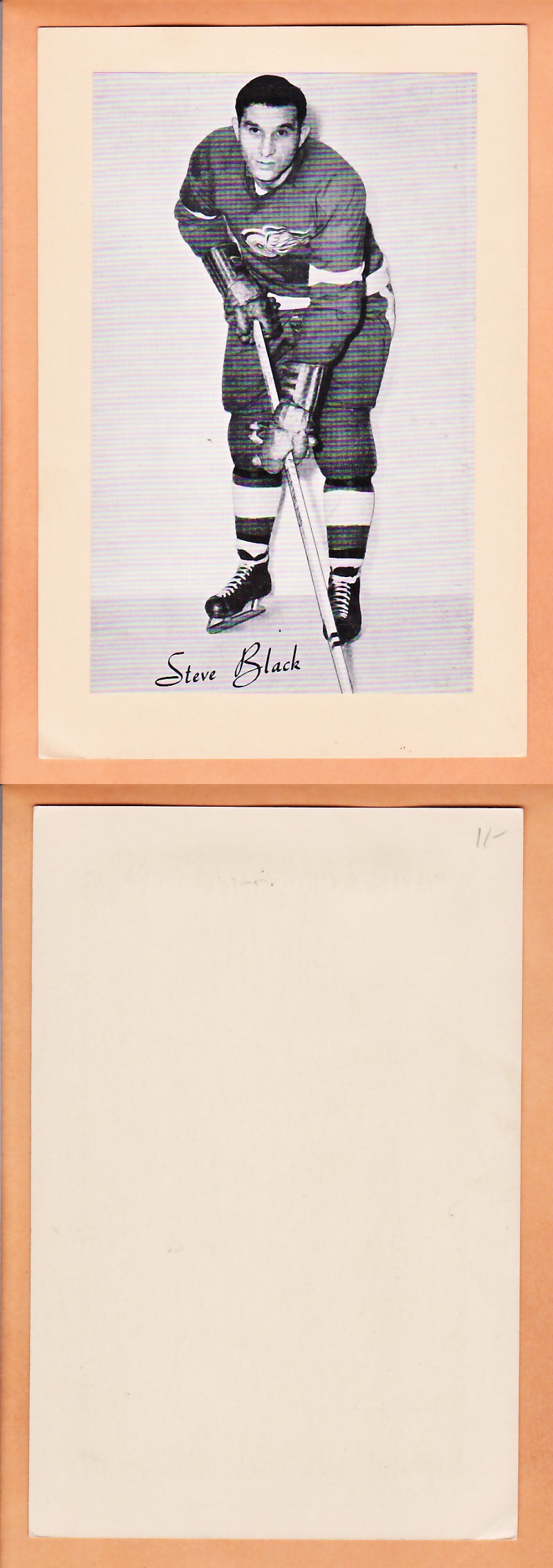1945-64 BEEHIVE PHOTO GR.2 S.BLACK photo 1945-64 BEEHIVE PHOTO GR.2 S.BLACK photo