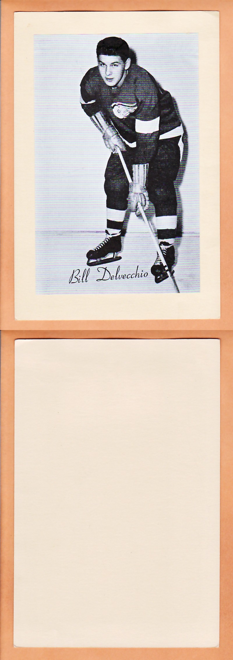 1945-64 BEEHIVE PHOTO GR.2 B.DELVECCHIO photo 1945-64 BEEHIVE PHOTO GR.2 B.DELVECCHIO photo