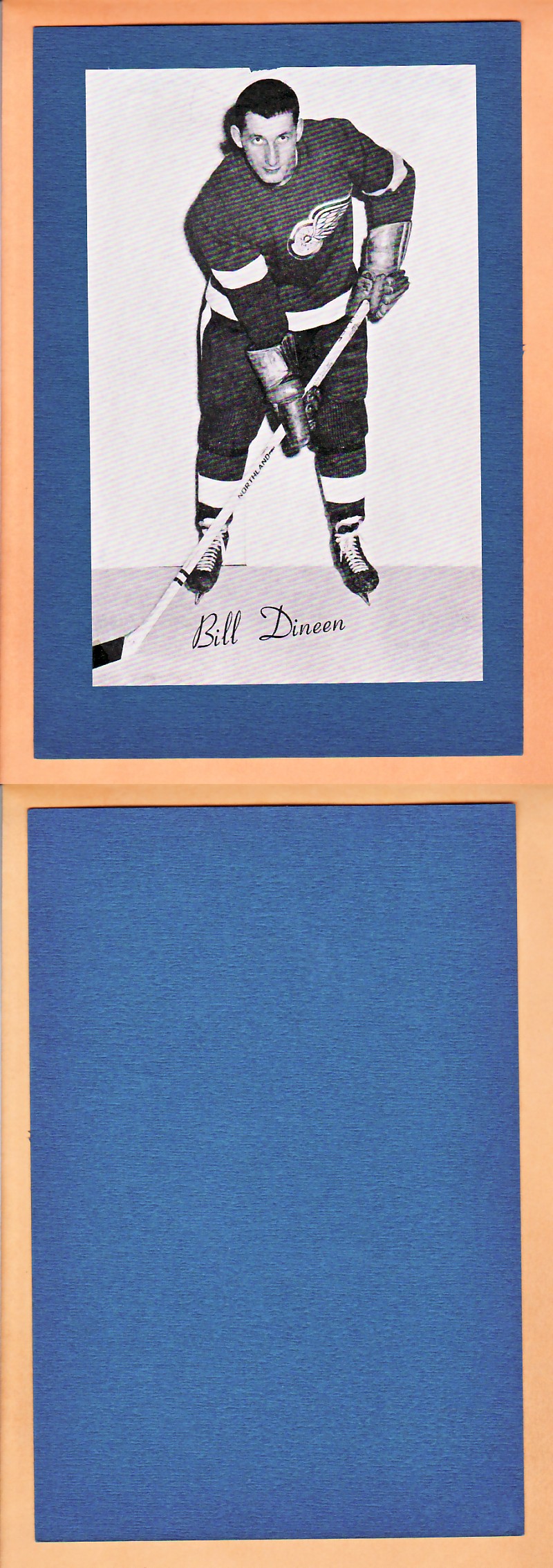 1945-64 BEEHIVE PHOTO GR.2 B.DINEEN photo 1945-64 BEEHIVE PHOTO GR.2 B.DINEEN photo