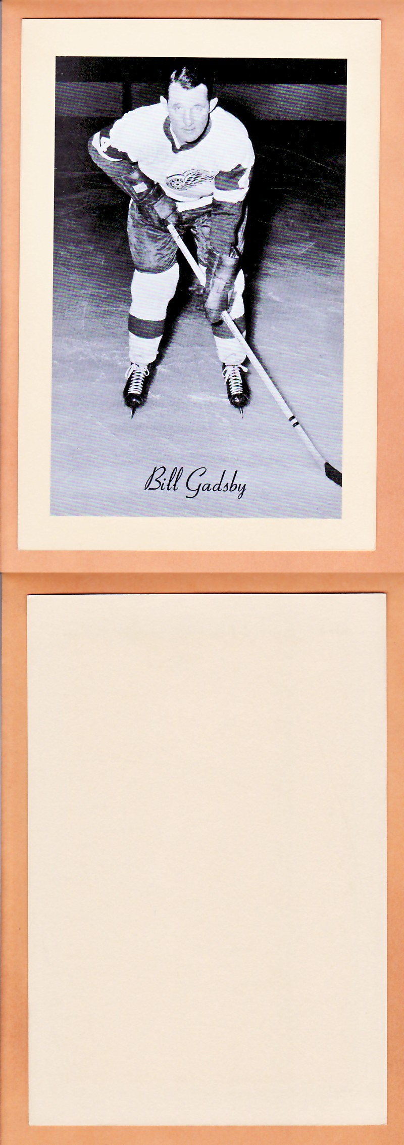 1945-64 BEEHIVE PHOTO GR.2 B.GADSBY photo 1945-64 BEEHIVE PHOTO GR.2 B.GADSBY photo