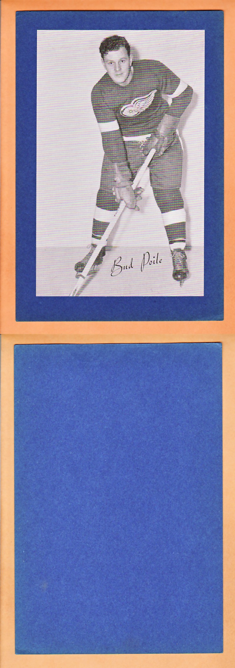 1945-64 BEEHIVE PHOTO GR.2 B.POILE *SP* photo 1945-64 BEEHIVE PHOTO GR.2 B.POILE *SP* photo