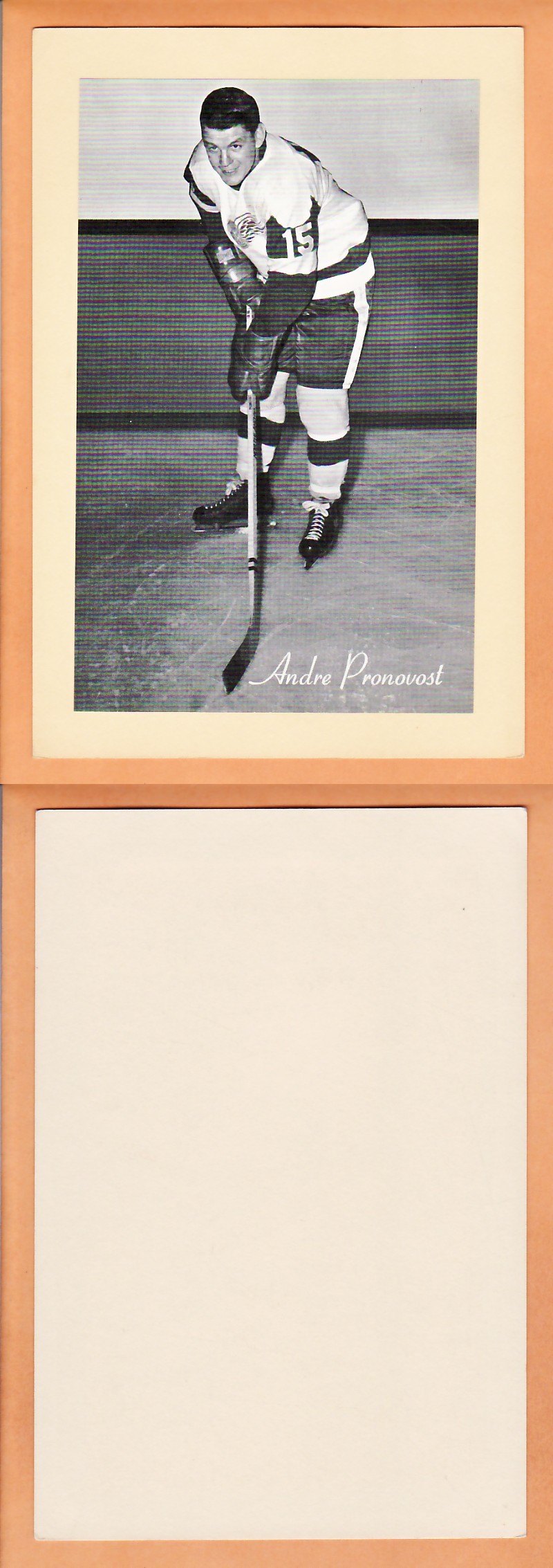 1945-64 BEEHIVE PHOTO GR.2 A.PRONOVOST photo 1945-64 BEEHIVE PHOTO GR.2 A.PRONOVOST photo