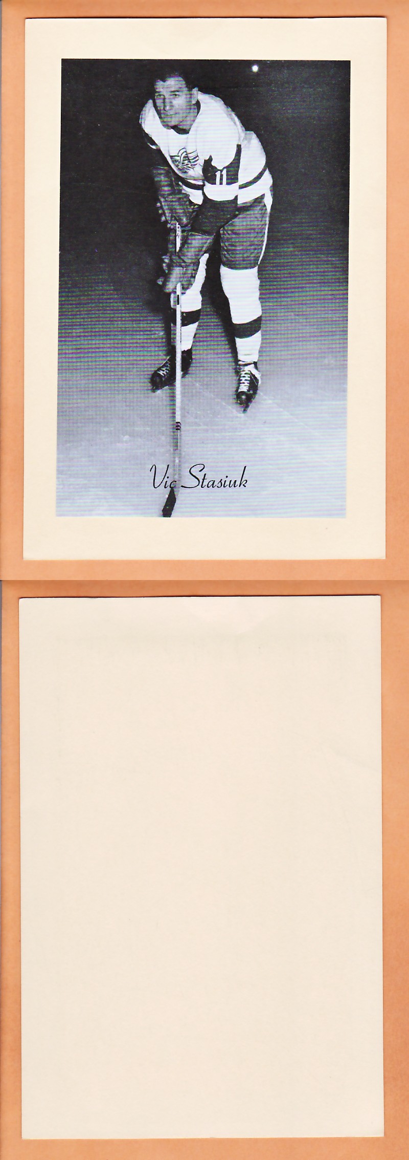 1945-64 BEEHIVE PHOTO GR.2 V.STASIUK V.1 photo 1945-64 BEEHIVE PHOTO GR.2 V.STASIUK V.1 photo