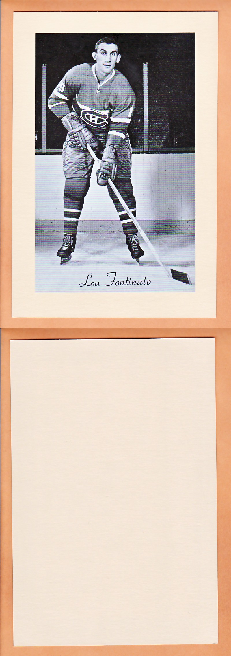 1945-64 BEEHIVE PHOTO GR.2 L.FONTINATO photo 1945-64 BEEHIVE PHOTO GR.2 L.FONTINATO photo