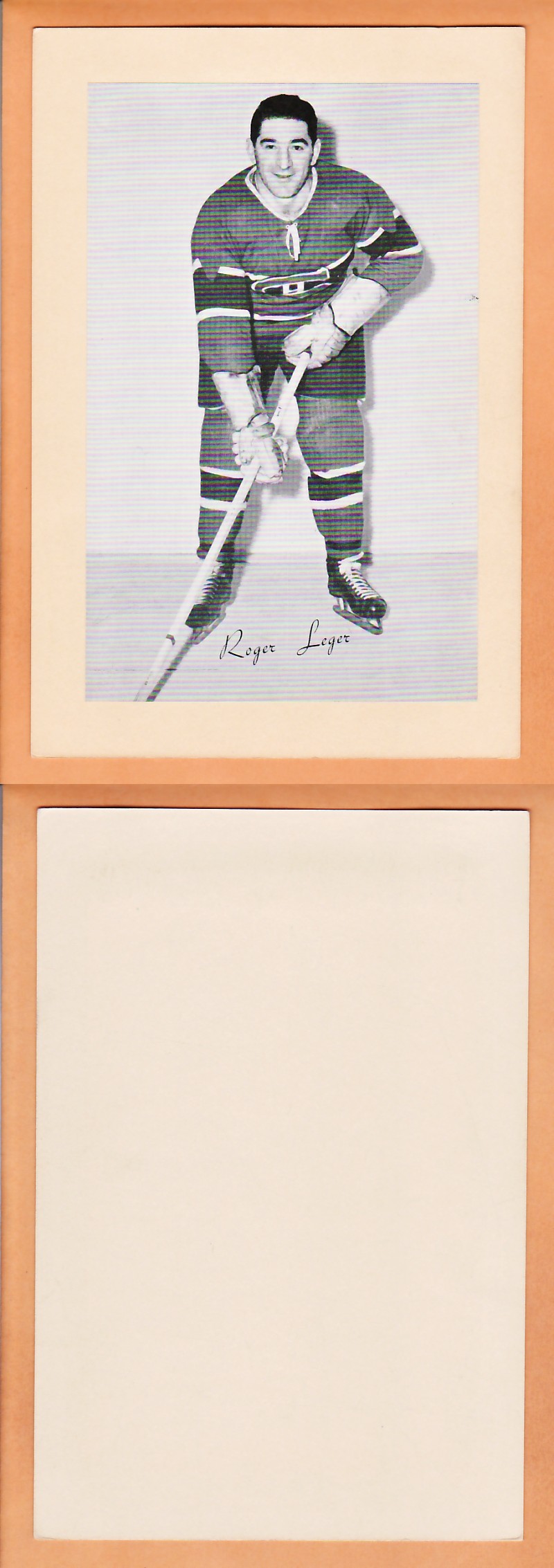 1945-64 BEEHIVE PHOTO GR.2 R.LEGER photo 1945-64 BEEHIVE PHOTO GR.2 R.LEGER photo