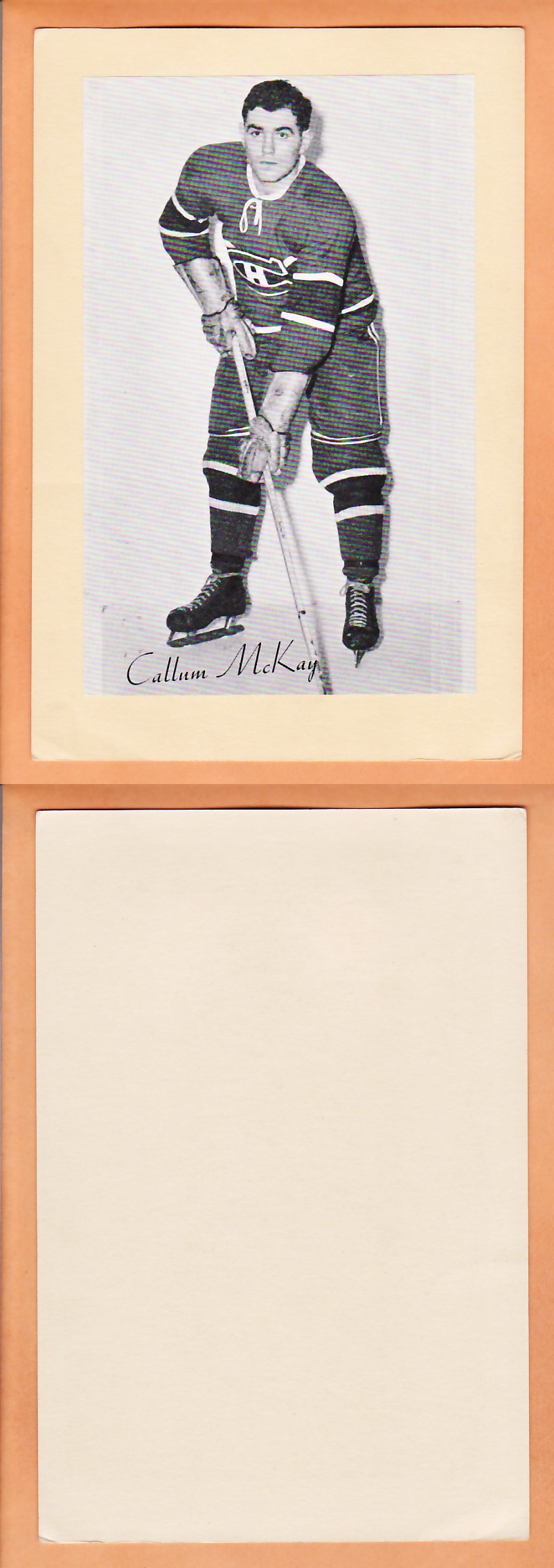 1945-64 BEEHIVE PHOTO GR.2 C.MCKAY photo 1945-64 BEEHIVE PHOTO GR.2 C.MCKAY photo