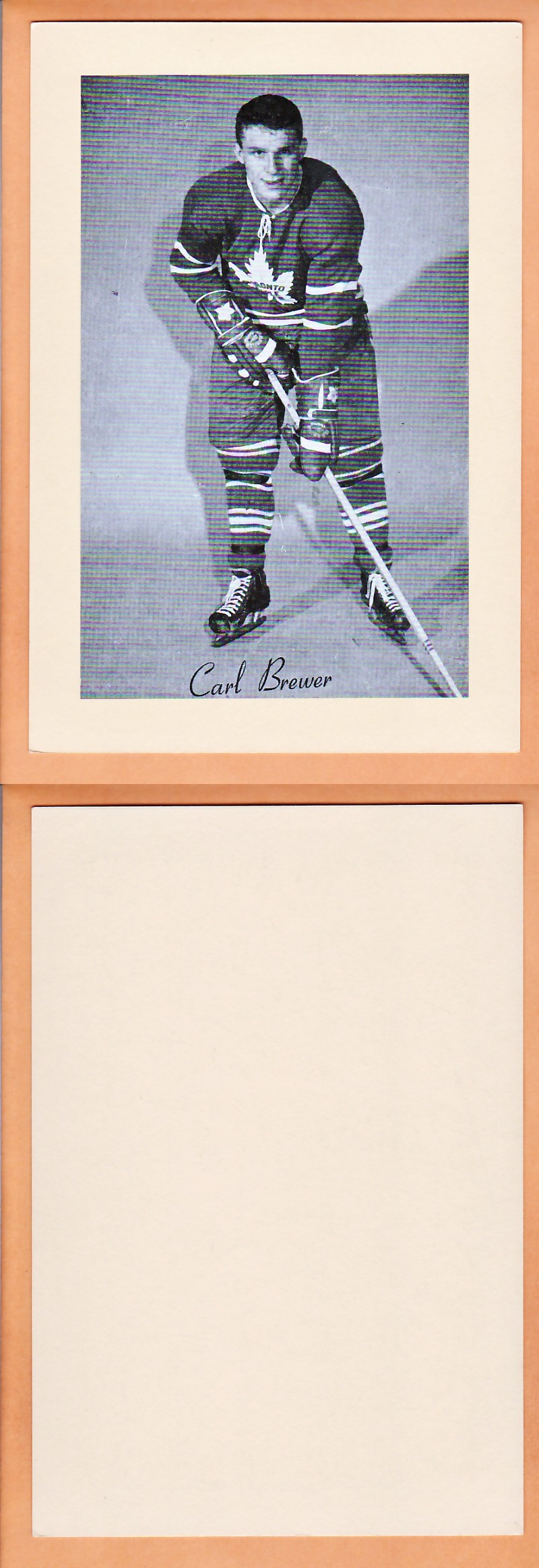 1945-64 BEEHIVE PHOTO GR.2 C.BREWER photo 1945-64 BEEHIVE PHOTO GR.2 C.BREWER photo