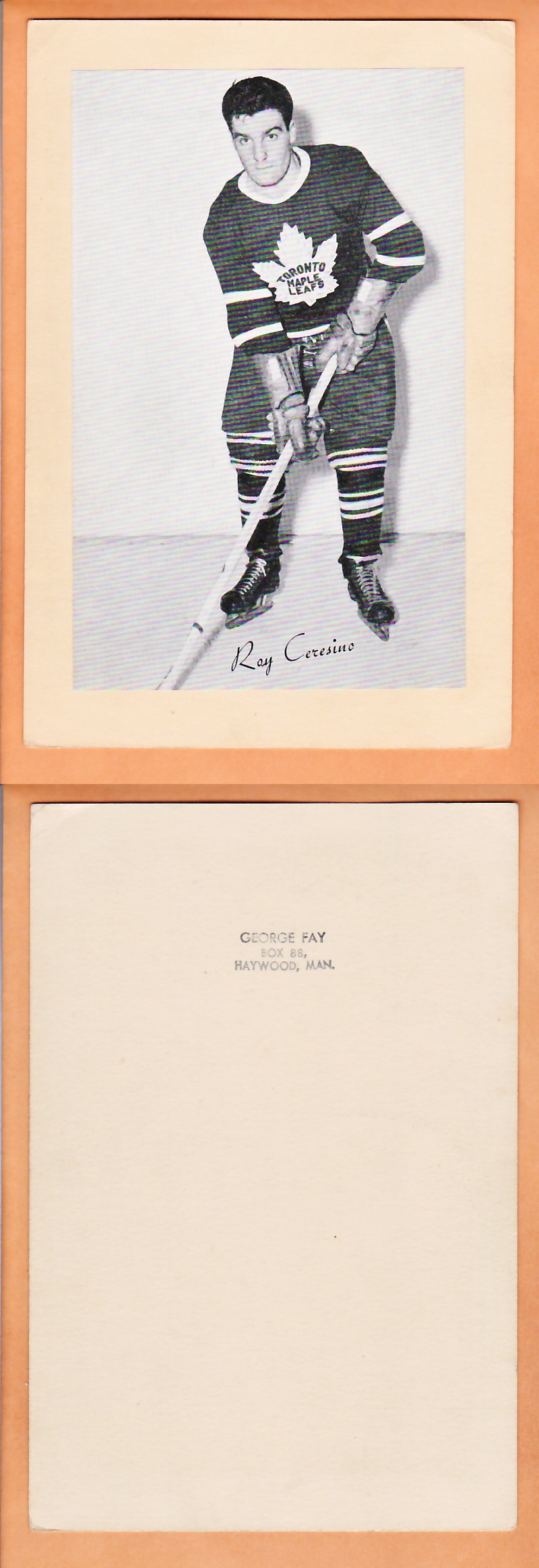 1945-64 BEEHIVE PHOTO GR.2 R.CARESINO photo 1945-64 BEEHIVE PHOTO GR.2 R.CARESINO photo