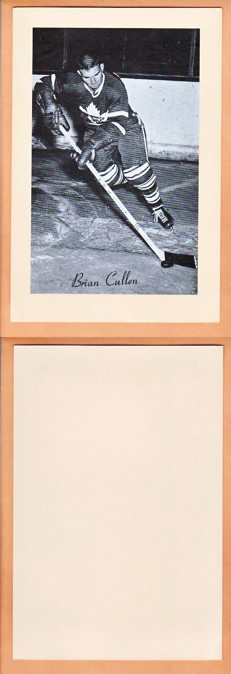 1945-64 BEEHIVE PHOTO GR.2 B.CULLEN photo 1945-64 BEEHIVE PHOTO GR.2 B.CULLEN photo