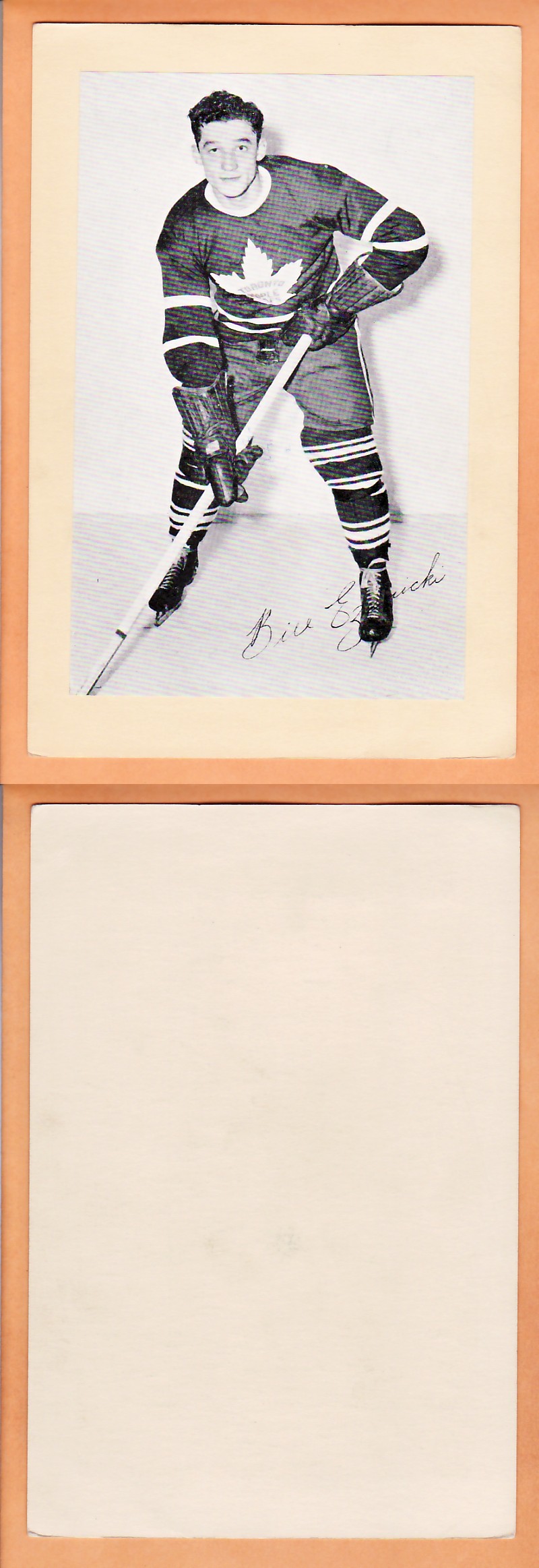 1945-64 BEEHIVE PHOTO GR.2 B.EZINICKI photo 1945-64 BEEHIVE PHOTO GR.2 B.EZINICKI photo