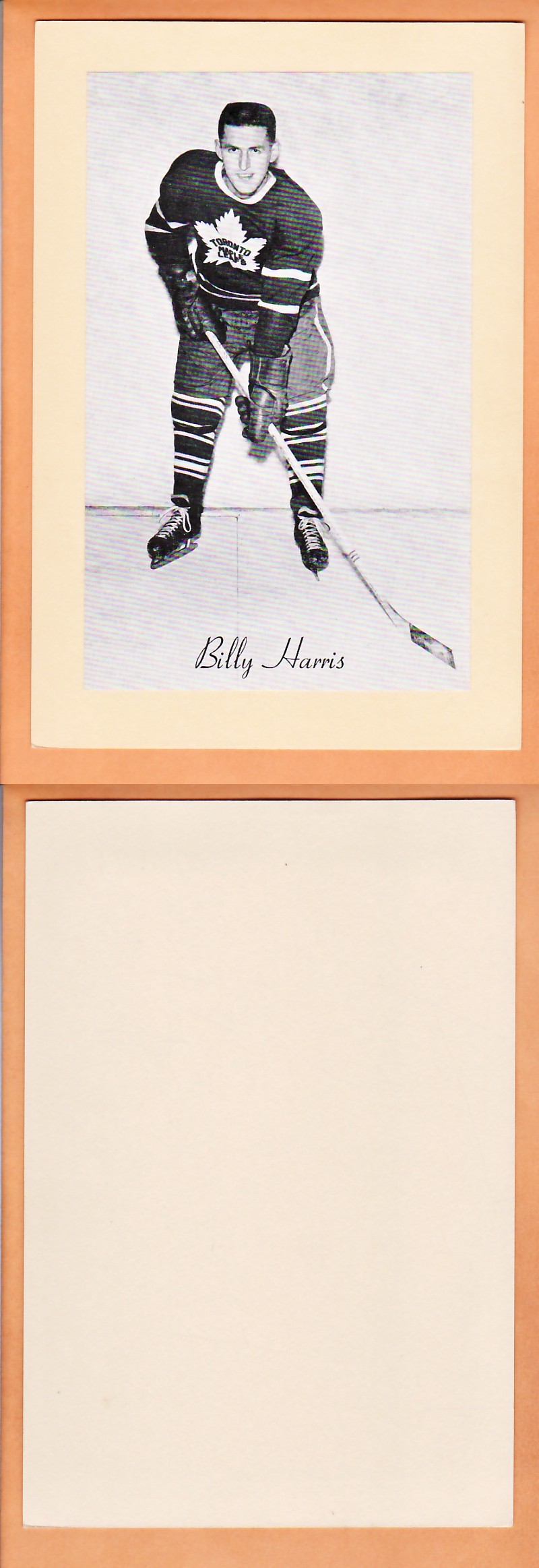 1945-64 BEEHIVE PHOTO GR.2 B.HARRIS photo 1945-64 BEEHIVE PHOTO GR.2 B.HARRIS photo