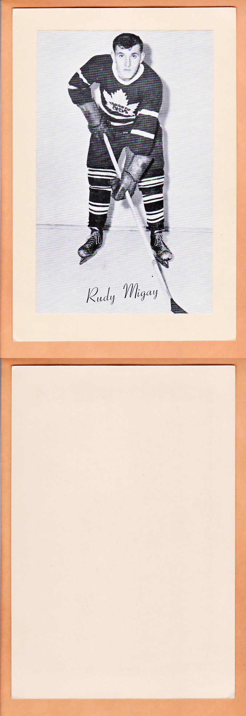 1945-64 BEEHIVE PHOTO GR.2 R.MIGAY photo 1945-64 BEEHIVE PHOTO GR.2 R.MIGAY photo