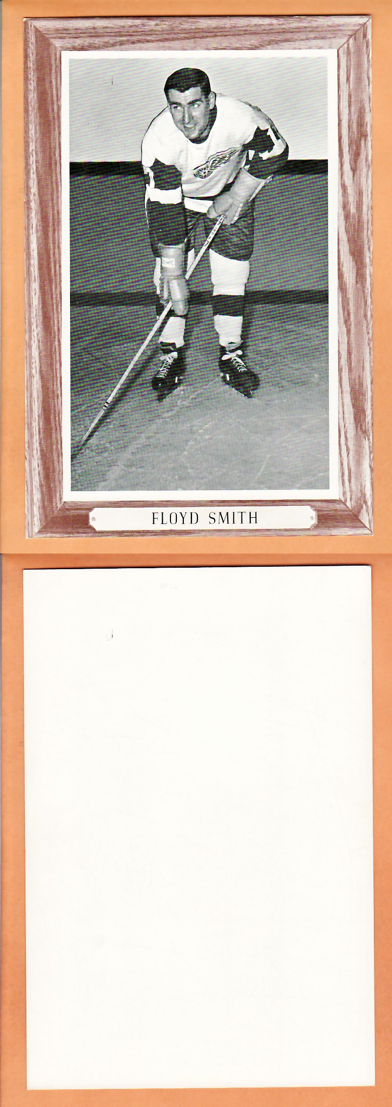 1964-67BEEHIVE PHOTO GR.3 F.SMITH V.2 *SP* photo 1964-67BEEHIVE PHOTO GR.3 F.SMITH V.2 *SP* photo