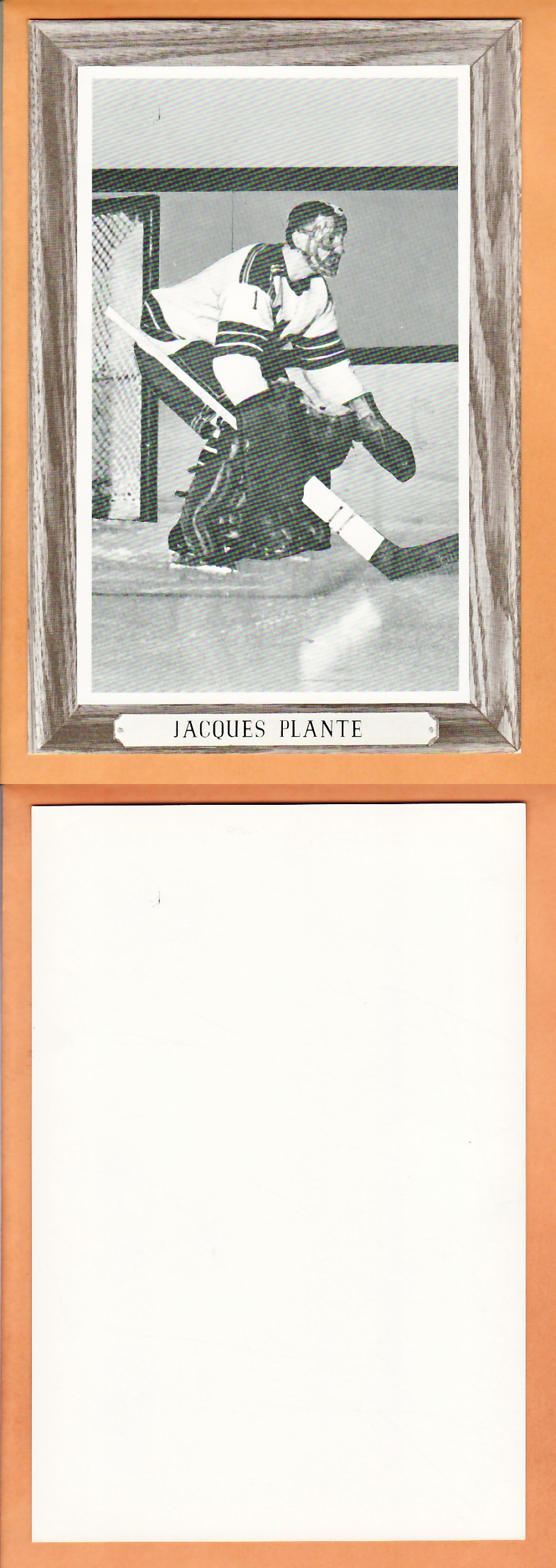 1964-67BEEHIVE PHOTO GR.3 J.PLANTE photo 1964-67BEEHIVE PHOTO GR.3 J.PLANTE photo