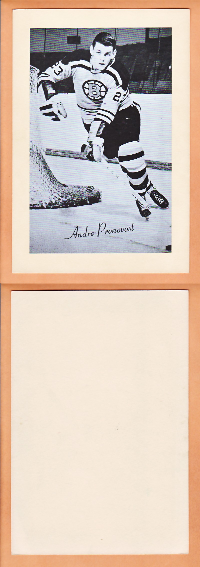 1945-64 BEEHIVE PHOTO GR.2 A.PRONOVOST photo 1945-64 BEEHIVE PHOTO GR.2 A.PRONOVOST photo