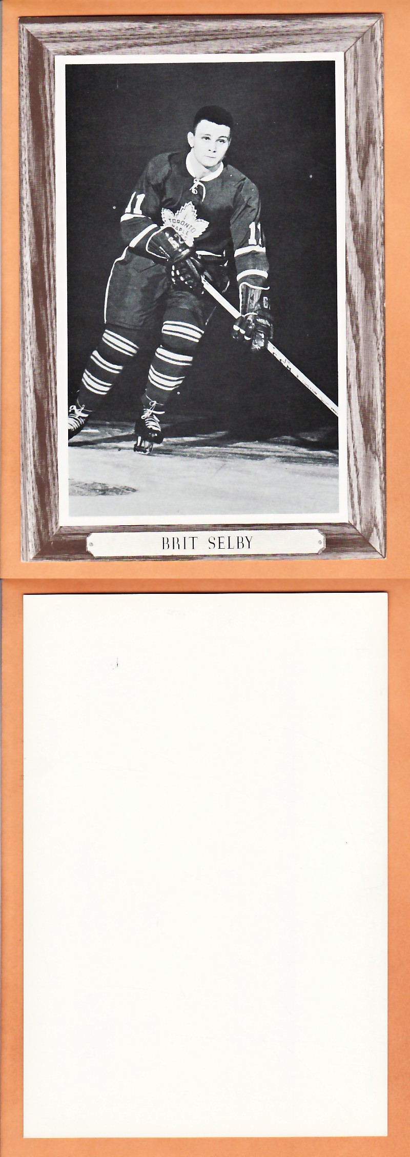 1964-67BEEHIVE PHOTO GR.3 B.SELBY photo 1964-67BEEHIVE PHOTO GR.3 B.SELBY photo