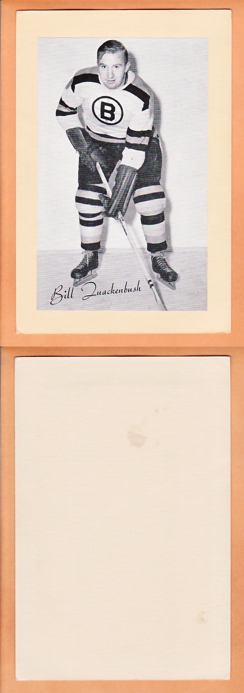 1945-64 BEEHIVE PHOTO GR.2 B.QUACKENBUSH photo 1945-64 BEEHIVE PHOTO GR.2 B.QUACKENBUSH photo