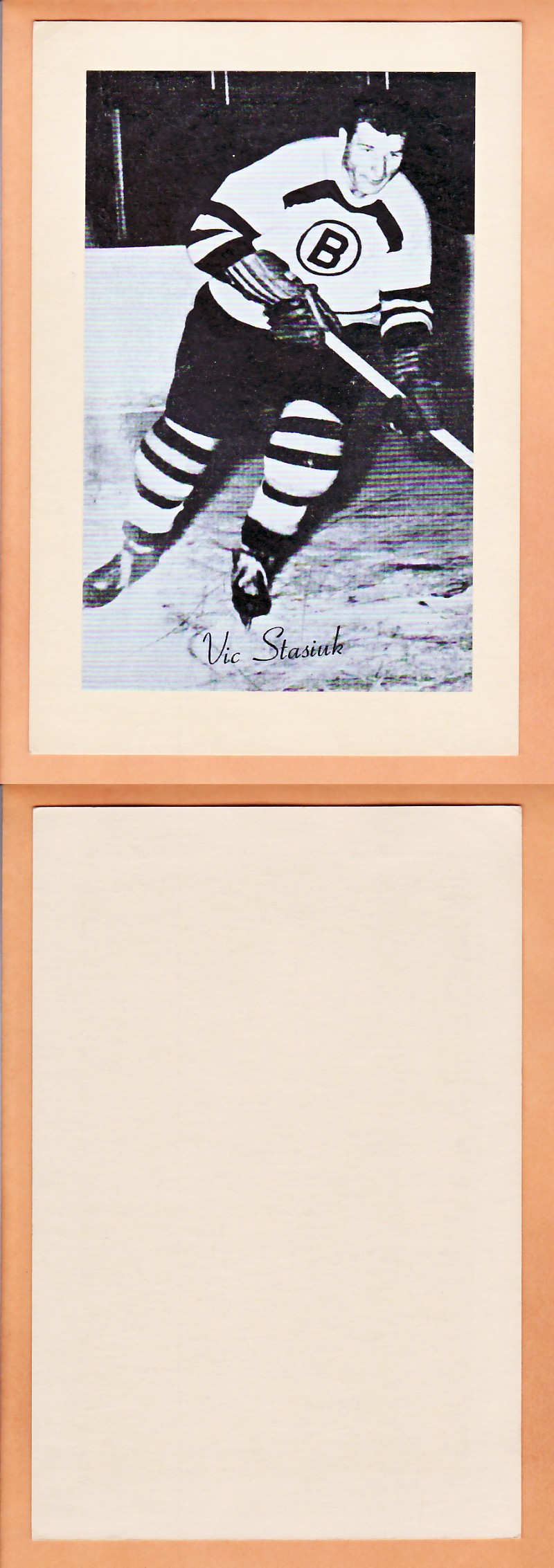 1945-64 BEEHIVE PHOTO GR.2 V.STASIUK photo 1945-64 BEEHIVE PHOTO GR.2 V.STASIUK photo