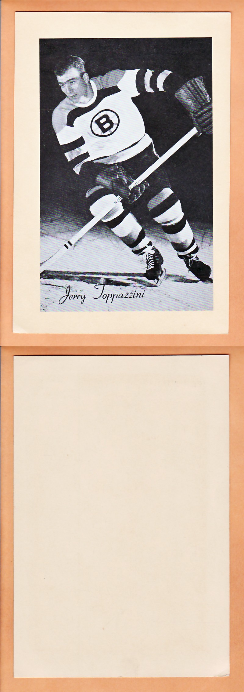 1945-64 BEEHIVE PHOTO GR.2 J.TOPPAZZINI photo 1945-64 BEEHIVE PHOTO GR.2 J.TOPPAZZINI photo