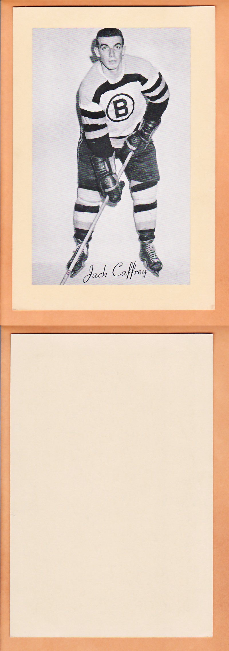 1945-64 BEEHIVE PHOTO GR.2 J.CAFFREY photo 1945-64 BEEHIVE PHOTO GR.2 J.CAFFREY photo