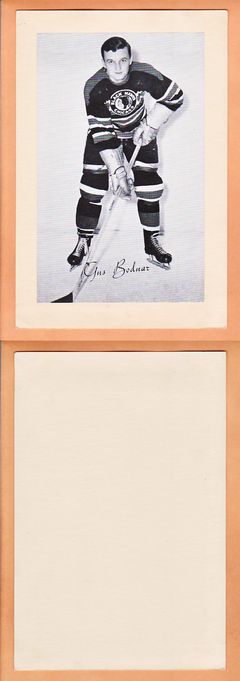 1945-64 BEEHIVE PHOTO GR.2 G.BODNAR photo 1945-64 BEEHIVE PHOTO GR.2 G.BODNAR photo