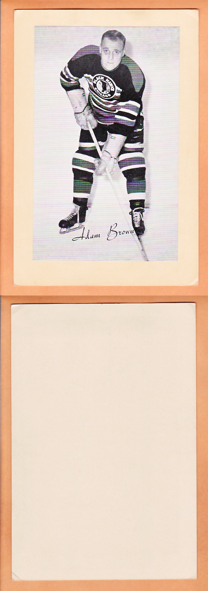 1945-64 BEEHIVE PHOTO GR.2 A.BROWN photo 1945-64 BEEHIVE PHOTO GR.2 A.BROWN photo