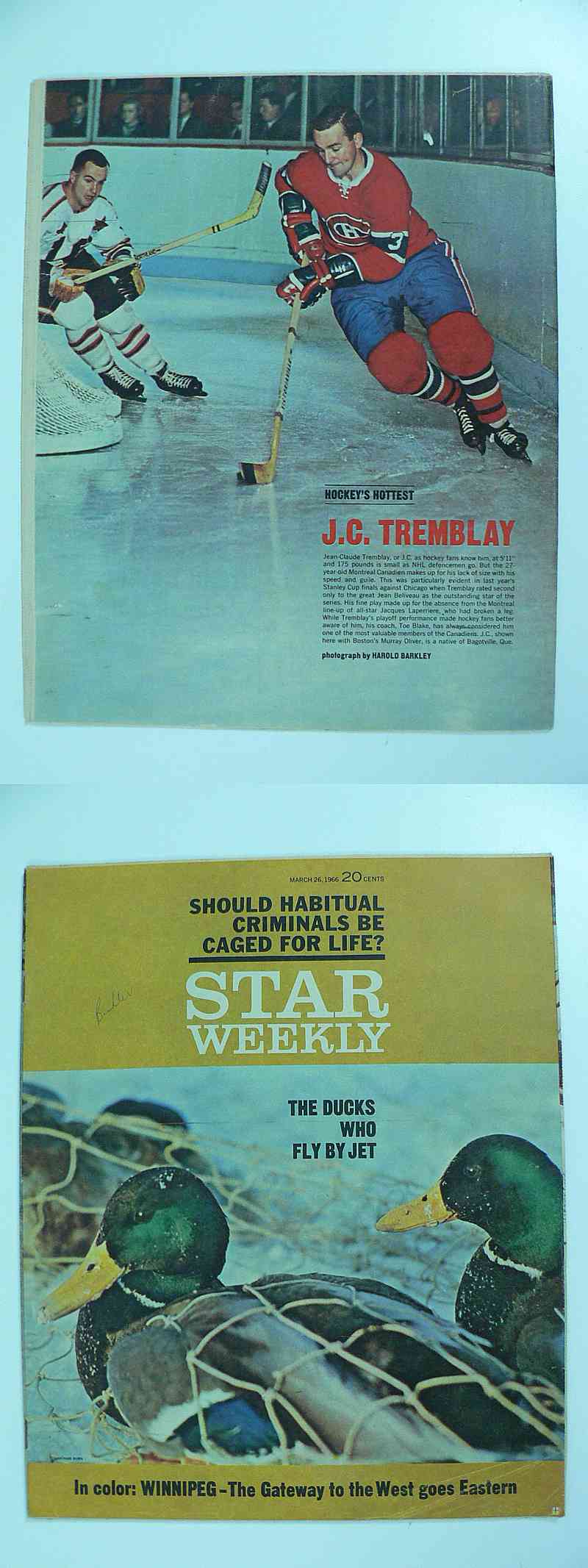 1965-66 TORONTO STAR FULL MAGAZINE J.C.TREMBLAY POSTER photo 1965-66 TORONTO STAR FULL MAGAZINE J.C.TREMBLAY POSTER photo