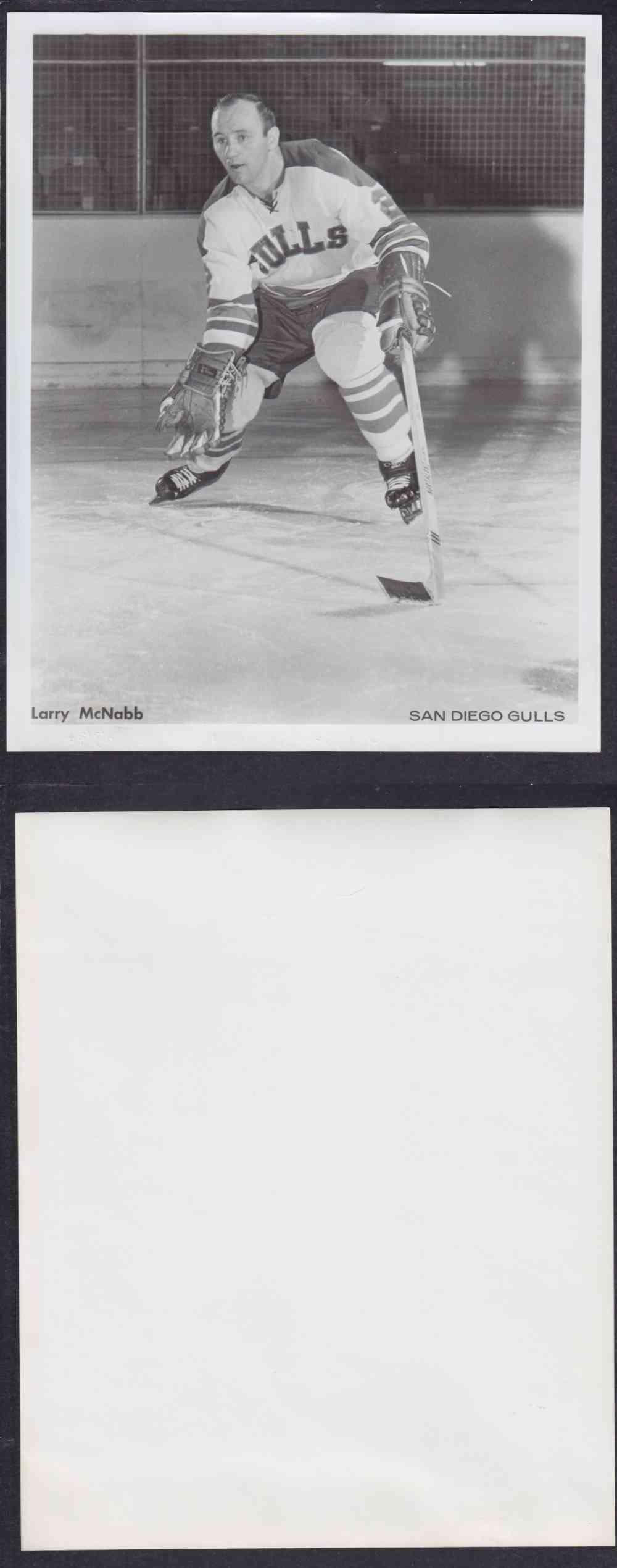 1960'S SAN DIEGO GULLS PHOTO L. MCNABB photo 1960'S SAN DIEGO GULLS PHOTO L. MCNABB photo