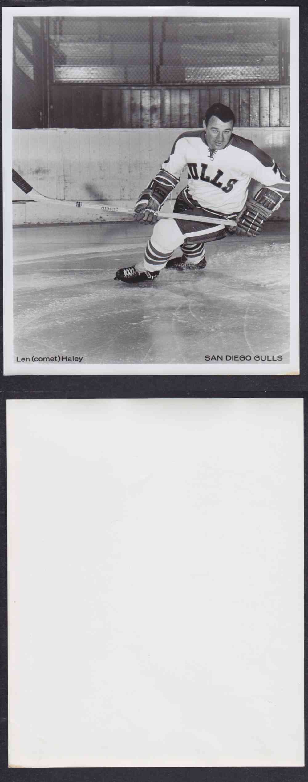 1960'S SAN DIEGO GULLS PHOTO L. HALEY photo 1960'S SAN DIEGO GULLS PHOTO L. HALEY photo