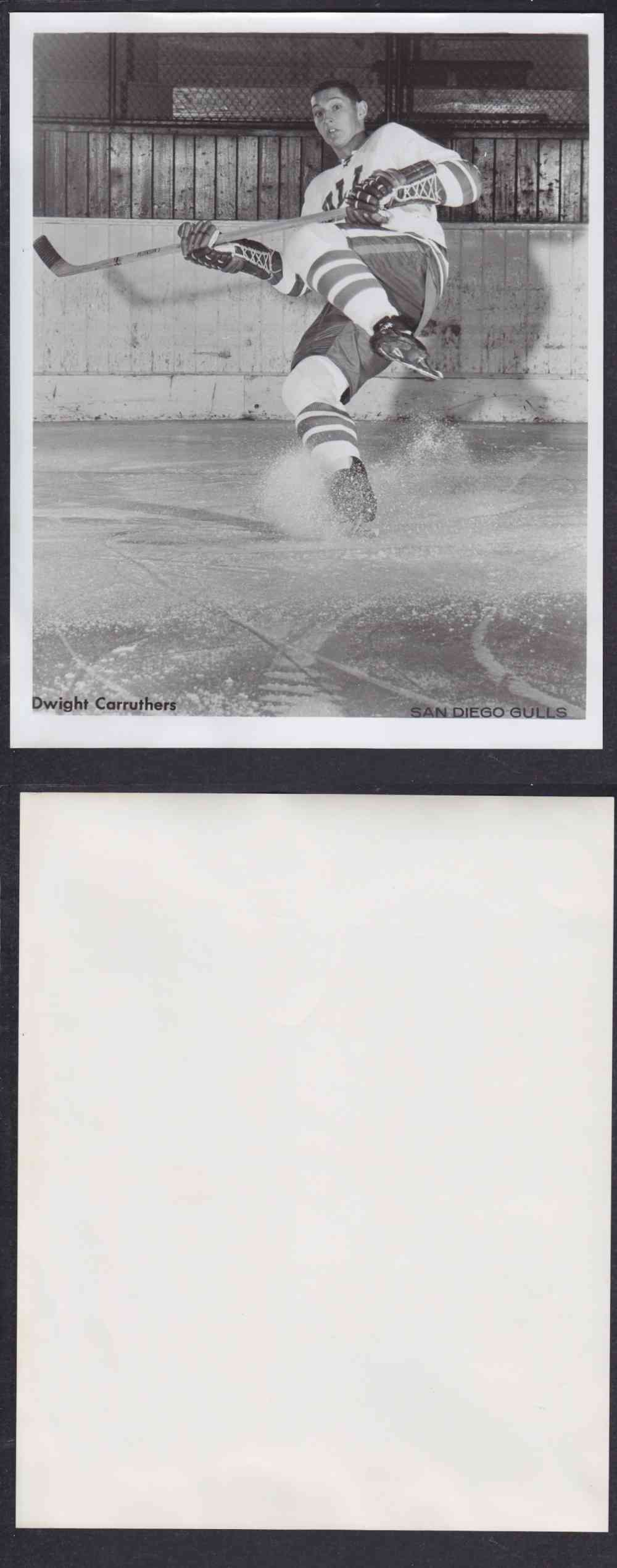 1960'S SAN DIEGO GULLS PHOTO D. CARRUTHERS photo 1960'S SAN DIEGO GULLS PHOTO D. CARRUTHERS photo