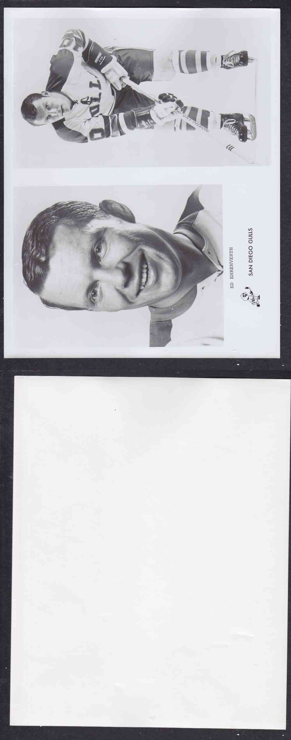 1960'S SAN DIEGO GULLS PHOTO E. EGRENVERTH photo 1960'S SAN DIEGO GULLS PHOTO E. EGRENVERTH photo