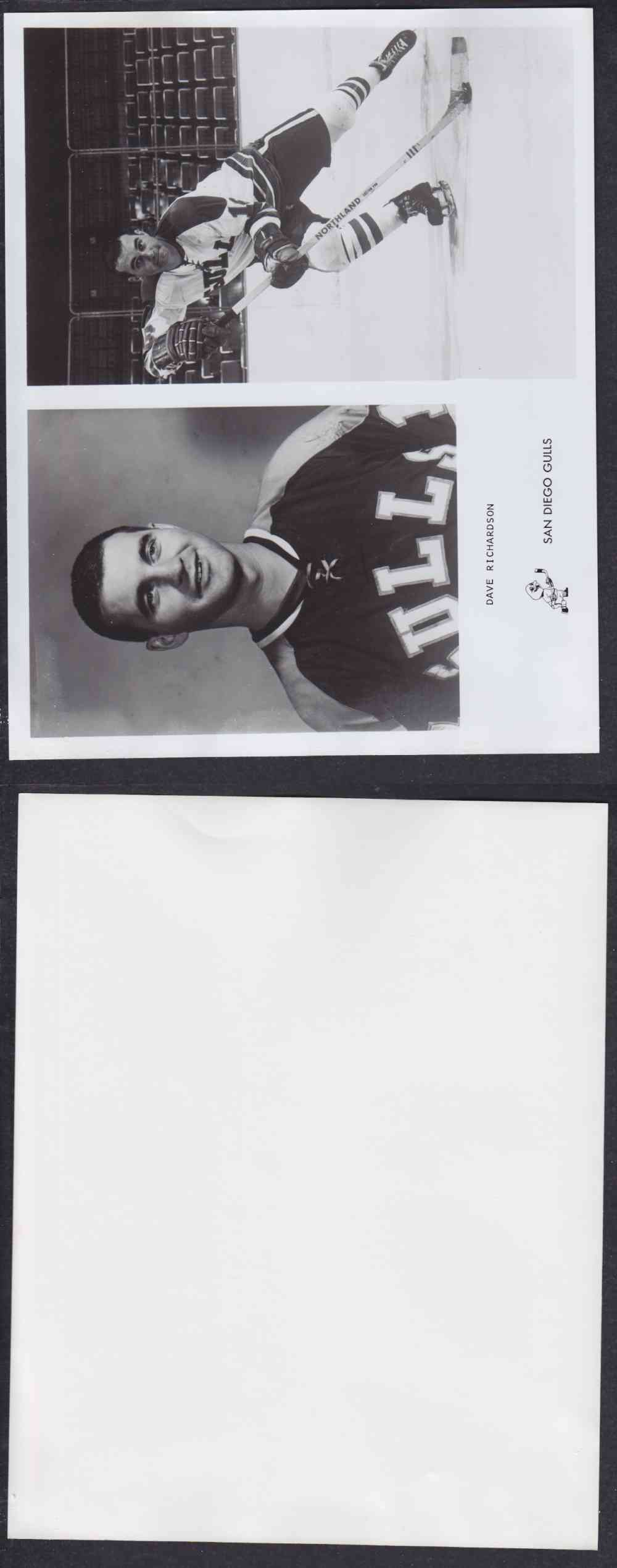 1960'S SAN DIEGO GULLS PHOTO D. RICHARDSON photo 1960'S SAN DIEGO GULLS PHOTO D. RICHARDSON photo