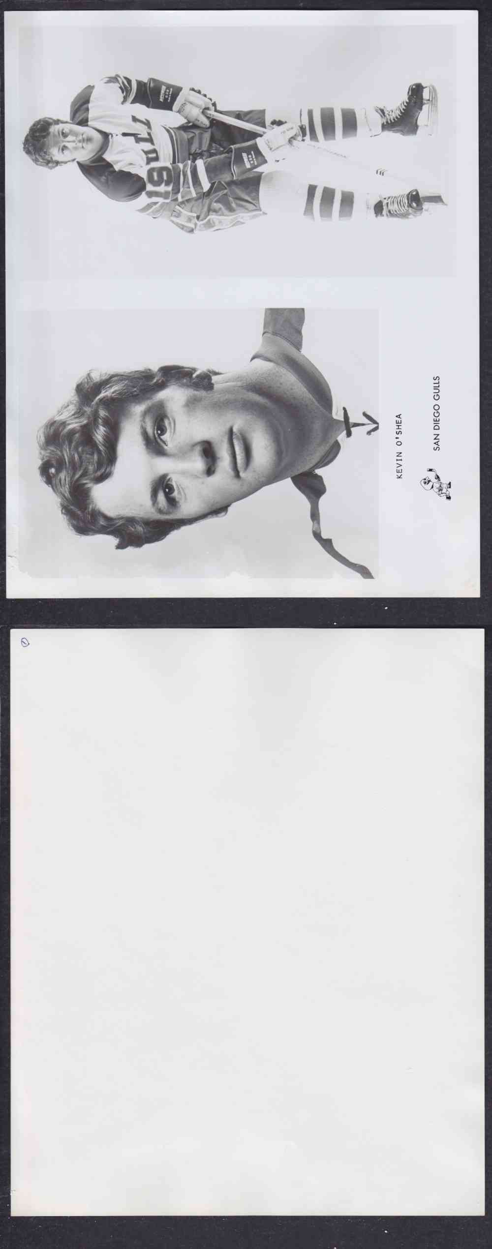 1960'S SAN DIEGO GULLS PHOTO K. O'SHEA photo 1960'S SAN DIEGO GULLS PHOTO K. O'SHEA photo