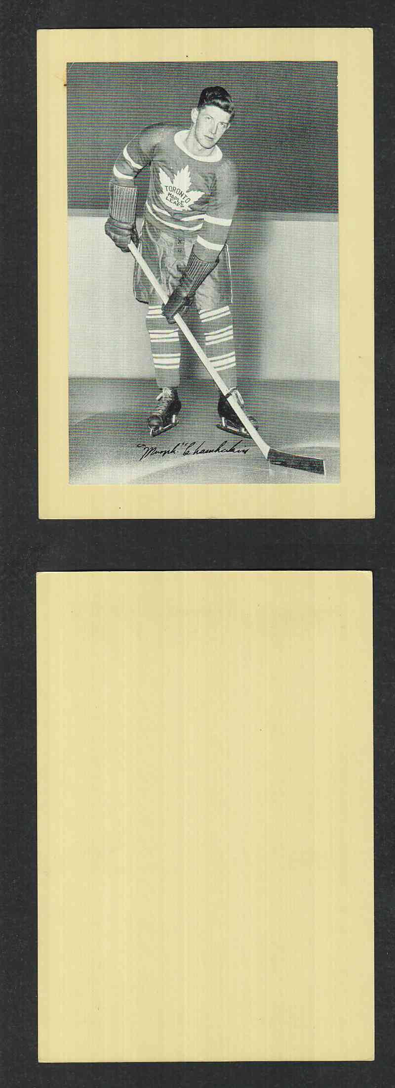 1934-43 BEEHIVES PHOTO GR.1 M. CHAMBERLAIN photo