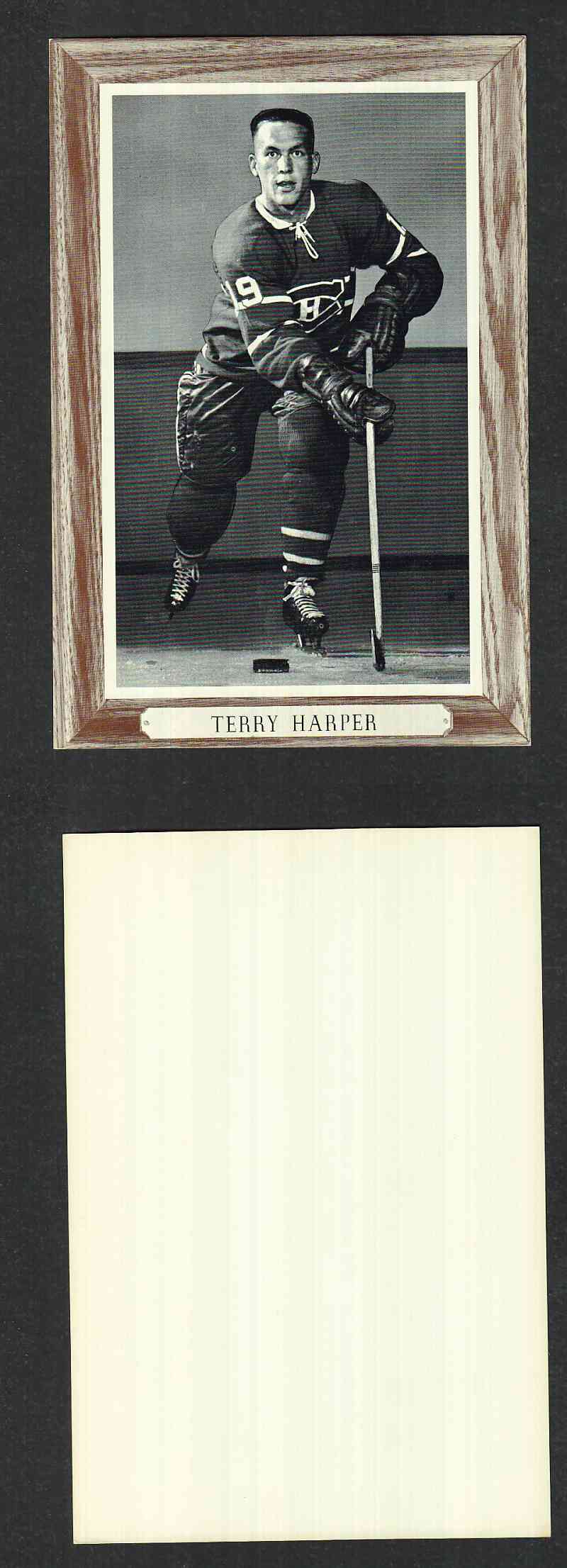 1964-67 BEEHIVE PHOTO GR.3 T. HARPER *SP* photo 1964-67 BEEHIVE PHOTO GR.3 T. HARPER *SP* photo