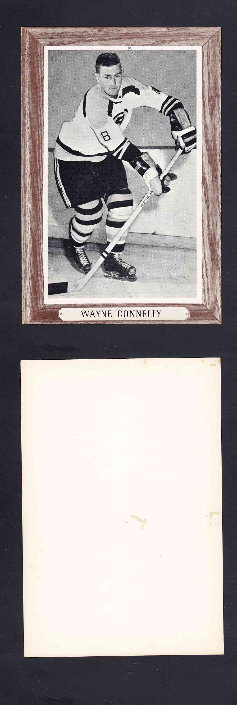 1964-67 BEEHIVE PHOTO GR.3 W. CONNELLY *SP* photo 1964-67 BEEHIVE PHOTO GR.3 W. CONNELLY *SP* photo