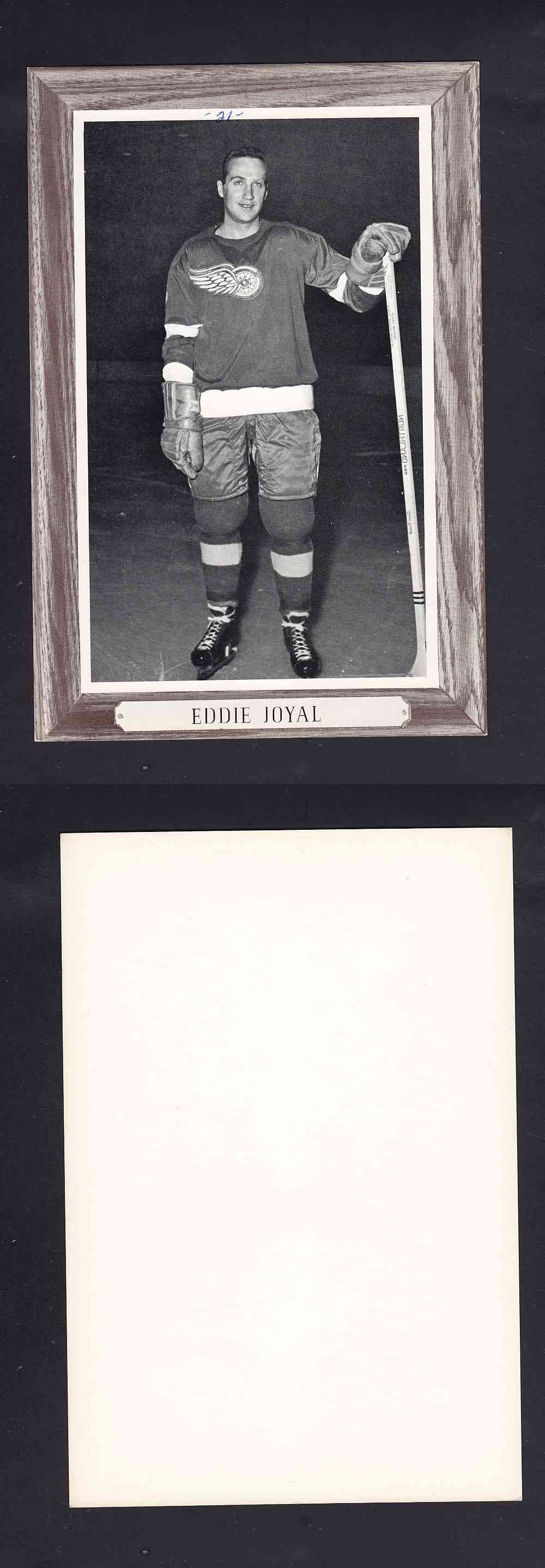 1964-67 BEEHIVE PHOTO GR.3 E. JOYAL V.2 *SP* photo 1964-67 BEEHIVE PHOTO GR.3 E. JOYAL V.2 *SP* photo