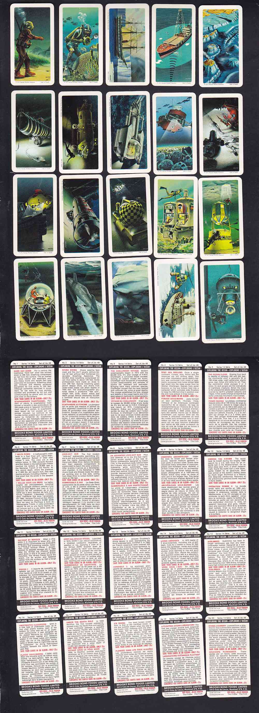 1973 BROOKE BOND RED ROSE TEA EXPLORING GHE OCEAN CARD FULL SET 48/48 photo 1973 BROOKE BOND RED ROSE TEA EXPLORING GHE OCEAN CARD FULL SET 48/48 photo