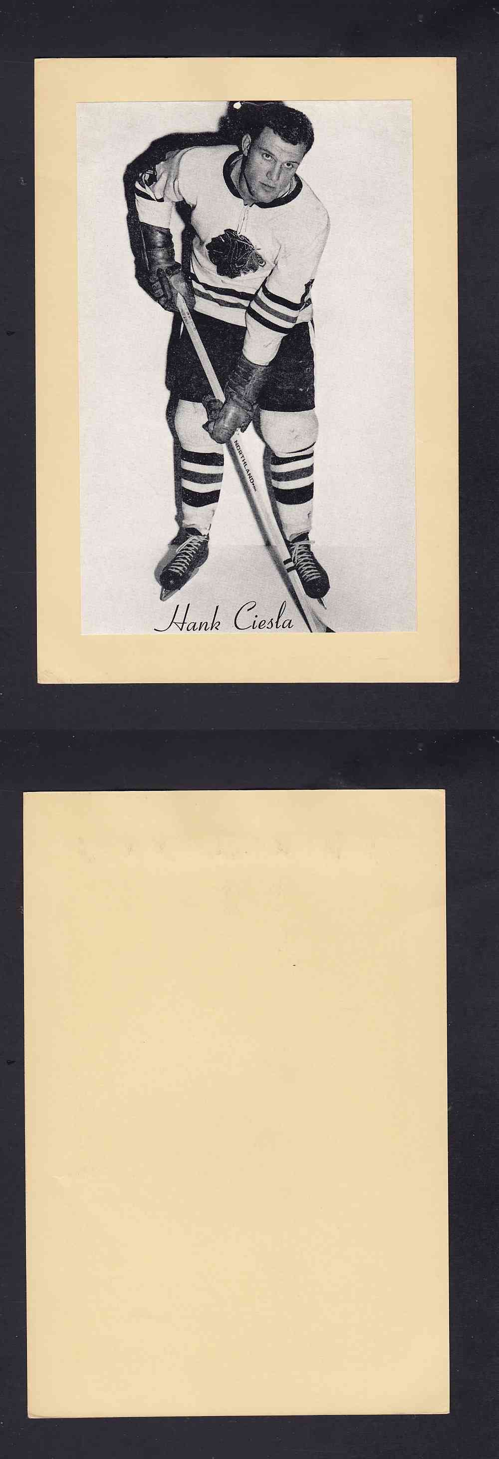 1945-64 BEEHIVE PHOTO GR.2 H. CIESLA photo 1945-64 BEEHIVE PHOTO GR.2 H. CIESLA photo