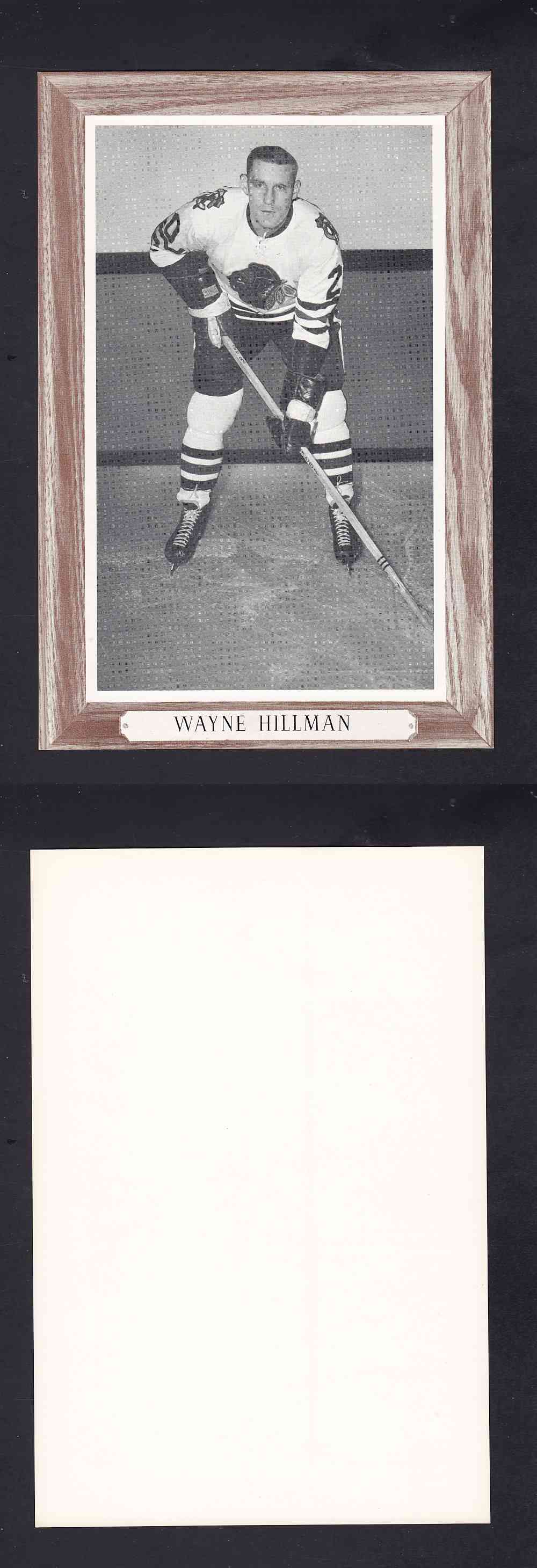 1964-67 BEEHIVE PHOTO GR.3 W. HILLMAN *SP* photo 1964-67 BEEHIVE PHOTO GR.3 W. HILLMAN *SP* photo