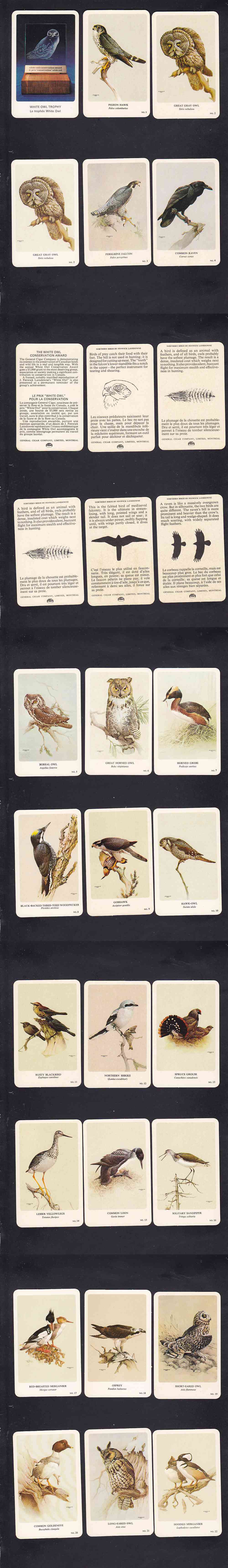 1962 GENERAL CIGAR NORTHERN BIRDS CARD FULL SET 37/37 photo 1962 GENERAL CIGAR NORTHERN BIRDS CARD FULL SET 37/37 photo