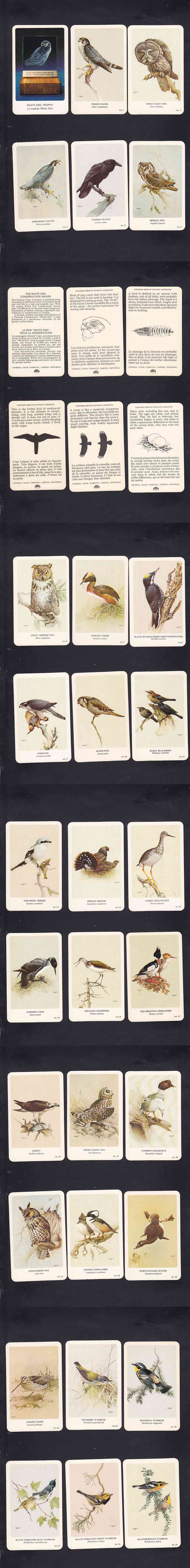1962 GENERAL CIGAR NORTHERN BIRDS CARD FULL SET 37/37 photo 1962 GENERAL CIGAR NORTHERN BIRDS CARD FULL SET 37/37 photo