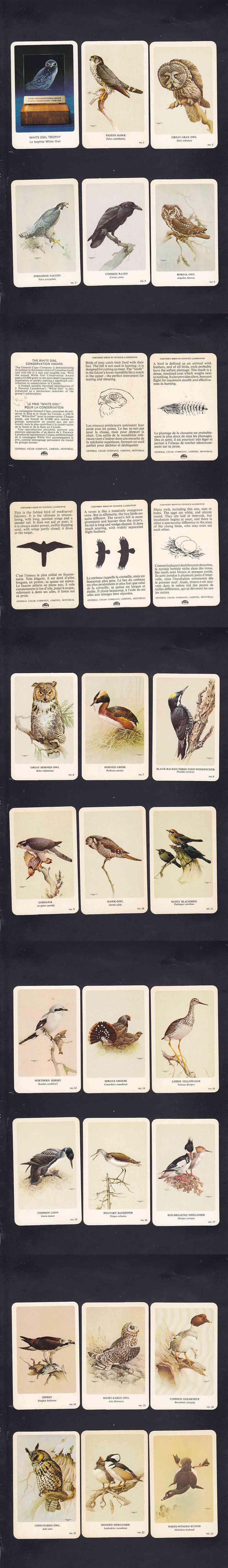 1962 GENERAL CIGAR NORTHERN BIRDS CARD FULL SET 37/37 photo 1962 GENERAL CIGAR NORTHERN BIRDS CARD FULL SET 37/37 photo